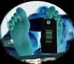 Morgue