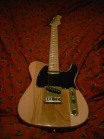 Complete custom guitar